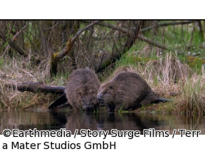 地球ドラマチック　オスロ　野生の息づく街で
