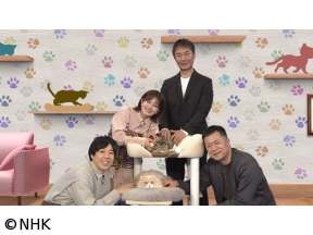 サイエンスZERO　ヒトの医療研究がネコも救う！　ネコとヒトの深イイ関係