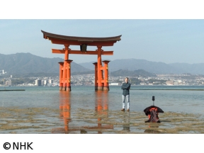 トリップ　イン　ジャポン　異邦人のまなざし　アインシュタインと旅する日本