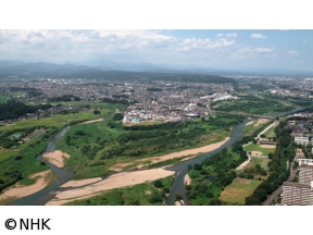 ダーウィンが来た！「長期密着・多摩川トライアングル　ついに巨獣あらわる！？」[…