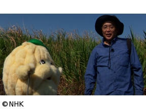 ダーウィンが来た！「長期密着・多摩川トライアングル　ついに巨獣あらわる！？」[…