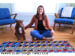 地球ドラマチック　大実験！イヌは「話せる」のか？