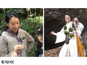 いいいじゅー!!　徳島・神山町/群馬・富岡市