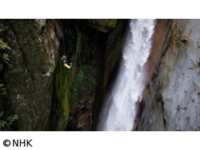 地球(アース)トラベラー　ボルネオ“死者の谷”に挑む　マレーシア・キナバル山