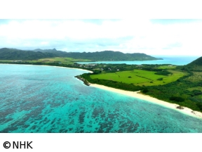 釣りびと万歳　選　沖縄三大高級魚“マクブ”に挑む!〜金子貴俊　沖縄・石垣島〜