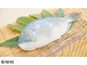 釣りびと万歳　選　沖縄三大高級魚“マクブ”に挑む!〜金子貴俊　沖縄・石垣島〜