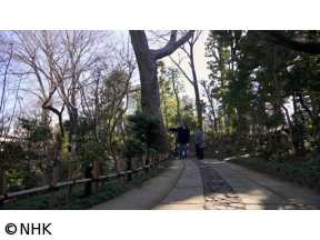 村雨さんと日本庭園たしなみ巡り　荏原　畠山美術館