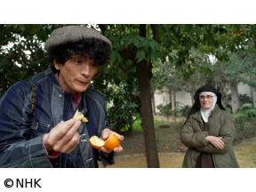 世界よくばりトラベラー　スペイン・セビリア