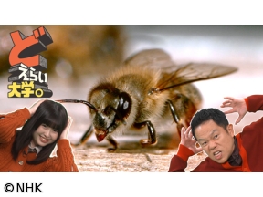 どえらい大学。世界初・日本初の挑戦がいっぱい！玉川大学を大調査！