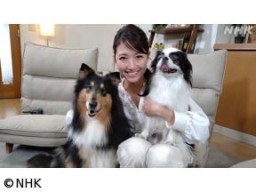 心おどる　犬ワールド（3）人とともに働く犬