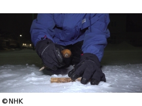 弾丸!空港トンボがえりツアー　カナダ　イエローナイフ空港