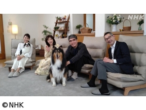 心おどる　犬ワールド（4）人によりそい働く犬