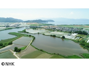 ダーウィンが来た！「徹底解明！ナマズの超能力」