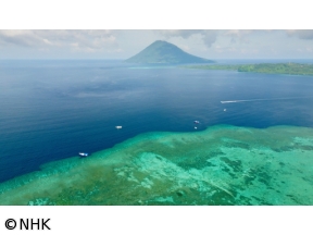 体感!グレートネイチャー　海から出現!謎のK字島　インドネシア・スラウェシ島[…