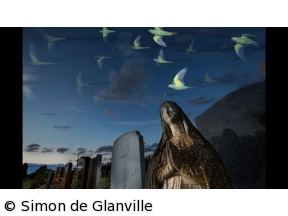 ワイルドライフ　国際共同制作　ワイルドロンドン