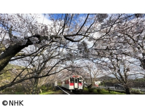 ニッポンぶらり鉄道旅　春の九州で福めぐり!松浦鉄道