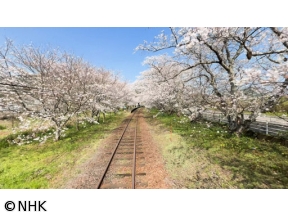 ニッポンぶらり鉄道旅　春の九州で福めぐり!松浦鉄道