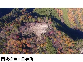 英雄たちの選択　天才軍師・竹中半兵衛の真実