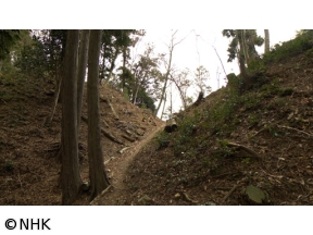 英雄たちの選択　天才軍師・竹中半兵衛の真実