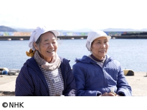 発見!離島のほんわか暮らし　4世代14人フグ養殖　松島湾無料渡船　絶品かまぼこ