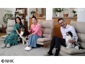 心おどる　犬ワールド　（8）人と犬のハッピー社会学