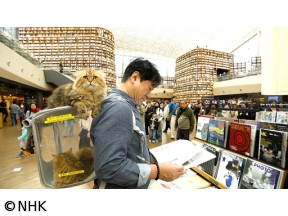 世界ふれあい街歩き　最新トレンドを生み出す街　ソウル　カンナム界わい〜韓国〜