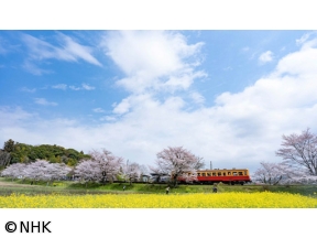 中井精也の絶景!てつたび　春風そよぐ千葉・小湊鉄道を行く!