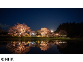 中井精也の絶景!てつたび　春風そよぐ千葉・小湊鉄道を行く!