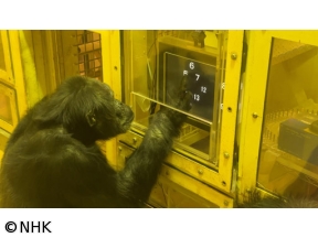 ザ・バックヤード　知の迷宮の裏側探訪　京都市動物園