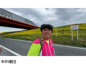 ウォーキングのひむ太郎　「埼玉県三郷市 江戸川堤防 菜の花ロード編」