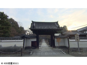 京都浪漫　悠久の物語「ニッポン画家・山本太郎と訪ねる江戸の美」