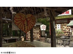 京都浪漫　悠久の物語【夏の奥嵯峨〜幽玄の世界〜】