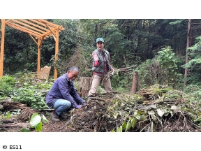 黒谷友香、お庭つくります　アンコール　放置されたキウイ棚を救え!