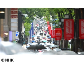 新日本風土記　選「東京　つゆのあとさき」