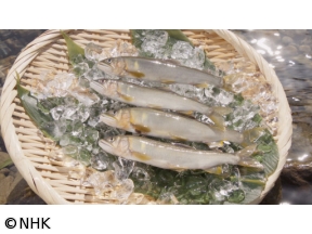 釣りびと万歳　選　急流泳ぐ“はちきんアユ”を狙え!〜中沢元紀　高知・奈半利川〜[…