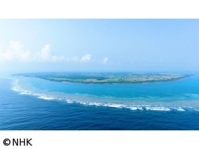 発見!離島のほんわか暮らし　沖縄牛の島　佐賀の島で学校再開　移住者3割讃岐広島