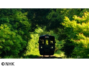 中井精也の絶景!てつたび　岐阜・長良川鉄道　清流輝く風景を求めて