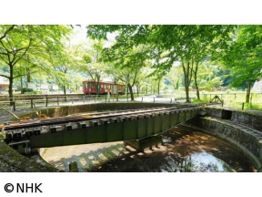 中井精也の絶景!てつたび　岐阜・長良川鉄道　清流輝く風景を求めて