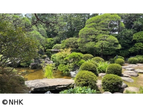村雨さんと日本庭園たしなみ巡り　山本亭