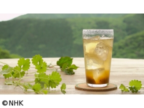 グレーテルのかまど　織田信長に飲ませたい！クラフトコーラ