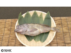 釣りびと万歳 オホーツクの海原でクロメヌケを追う 〜松田悟志 北海道・紋別
