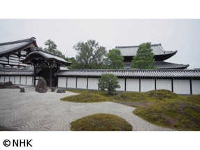 村雨さんと日本庭園たしなみ巡り 東福寺