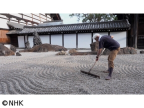 村雨さんと日本庭園たしなみ巡り 東福寺