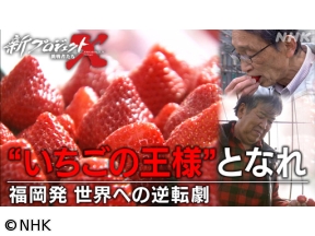 新プロジェクトX〜挑戦者たち〜　あまおう