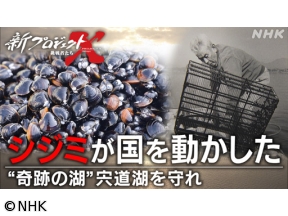 新プロジェクトX〜挑戦者たち〜シジミが国を動かした　宍道湖を守れ！