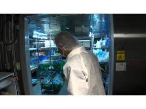 ガイアの夜明け 【野菜価格を守る０℃保存】 猛暑・災害に挑む新冷蔵技術とは?