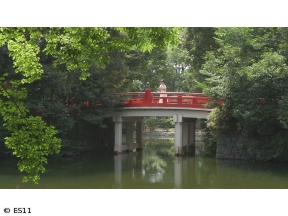 ごりやくさん　第3回「氷川神社」(埼玉)