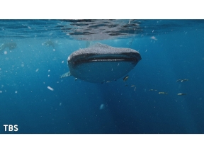 世界遺産【ベストショット2025】