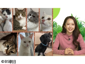 ネコいぬワイドショー　【ゲスト】みりちゃむ(大木美里亜)