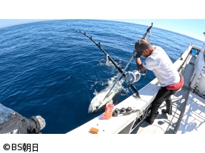 魚が食べたい!　「長崎県の離島・壱岐で200キロ超えのクロマグロを狙う」